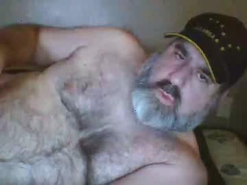 straightbear4you chaturbate